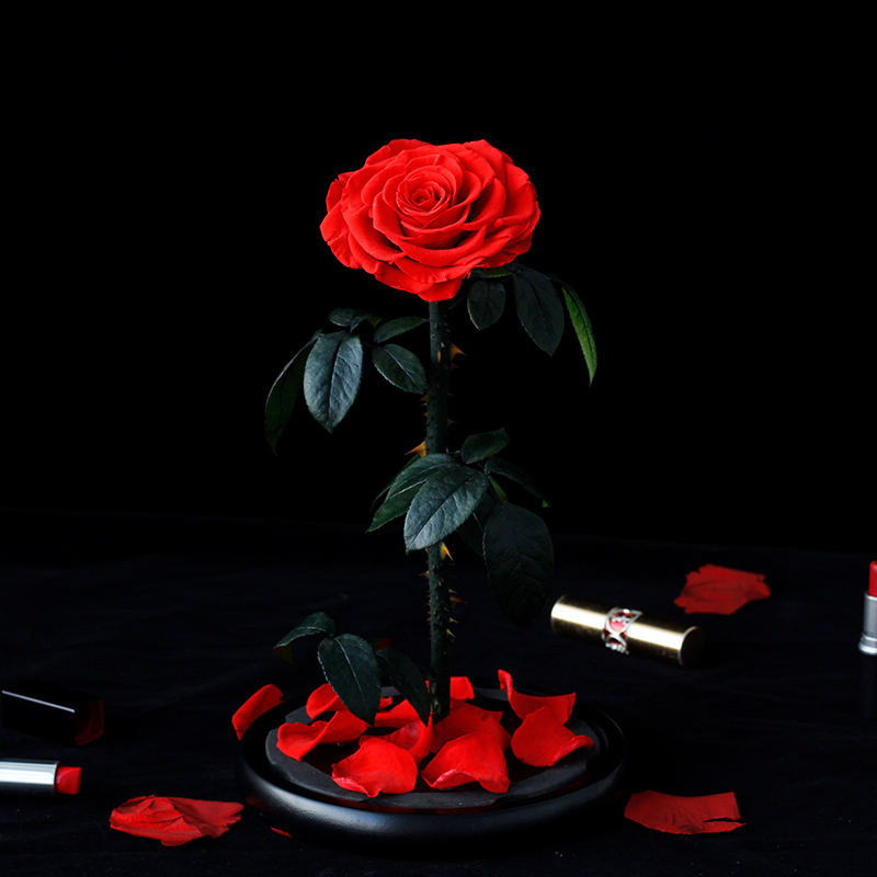 10+Years Manufacturer Real Authentic Roses Valentine's Day Forever Eternal Roses Preserved Everlasting Natural Preserved Roses in Glass Dome