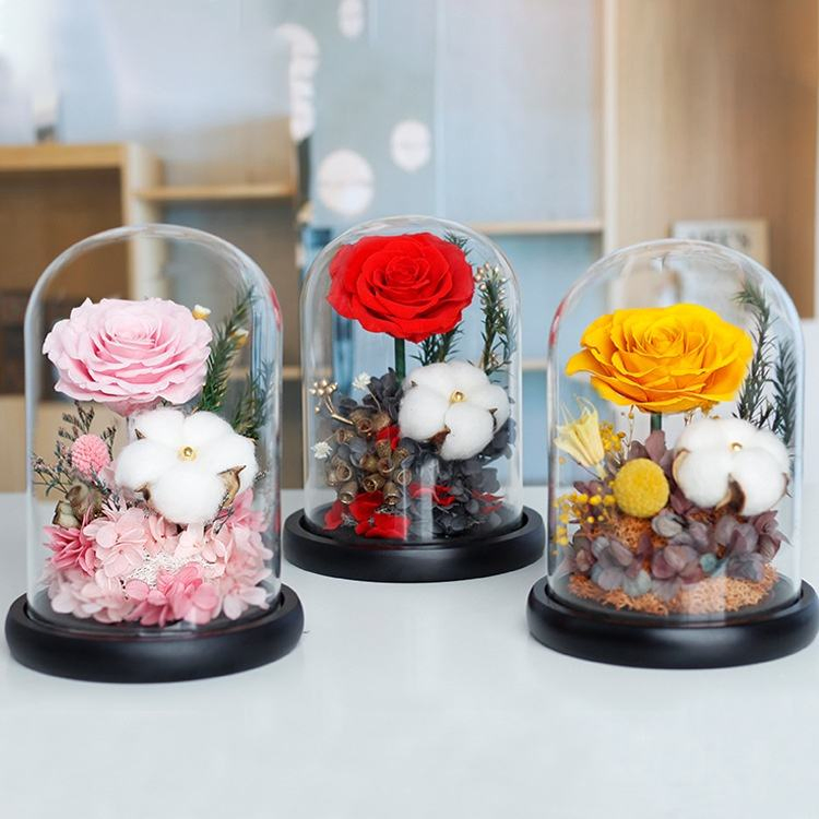 Factory Supply Forever Real Rose Hydrangea Preserved Roses in Glass Eternal Flower Dome for Girl Woman Red Valentine's Day Gift Rose