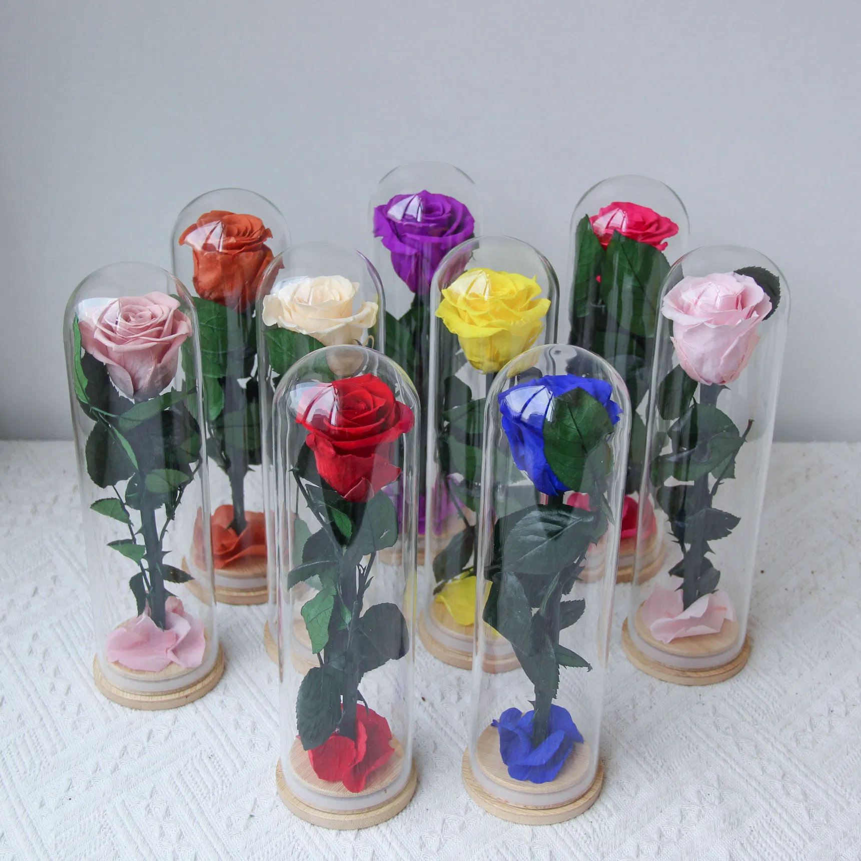 10+Years Manufacturers Eternal Roses Wholesale Everlasting Preserved Rose in Glass Natural Forever Flowers Single Stabilized Flowers with Stem