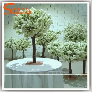 Cherry Blossom Detail 2