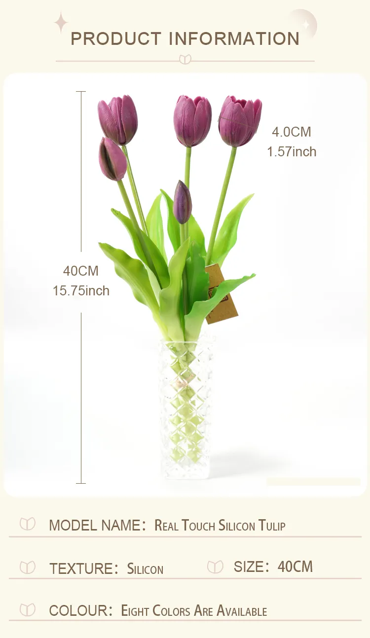 Tulip Size Dimensions