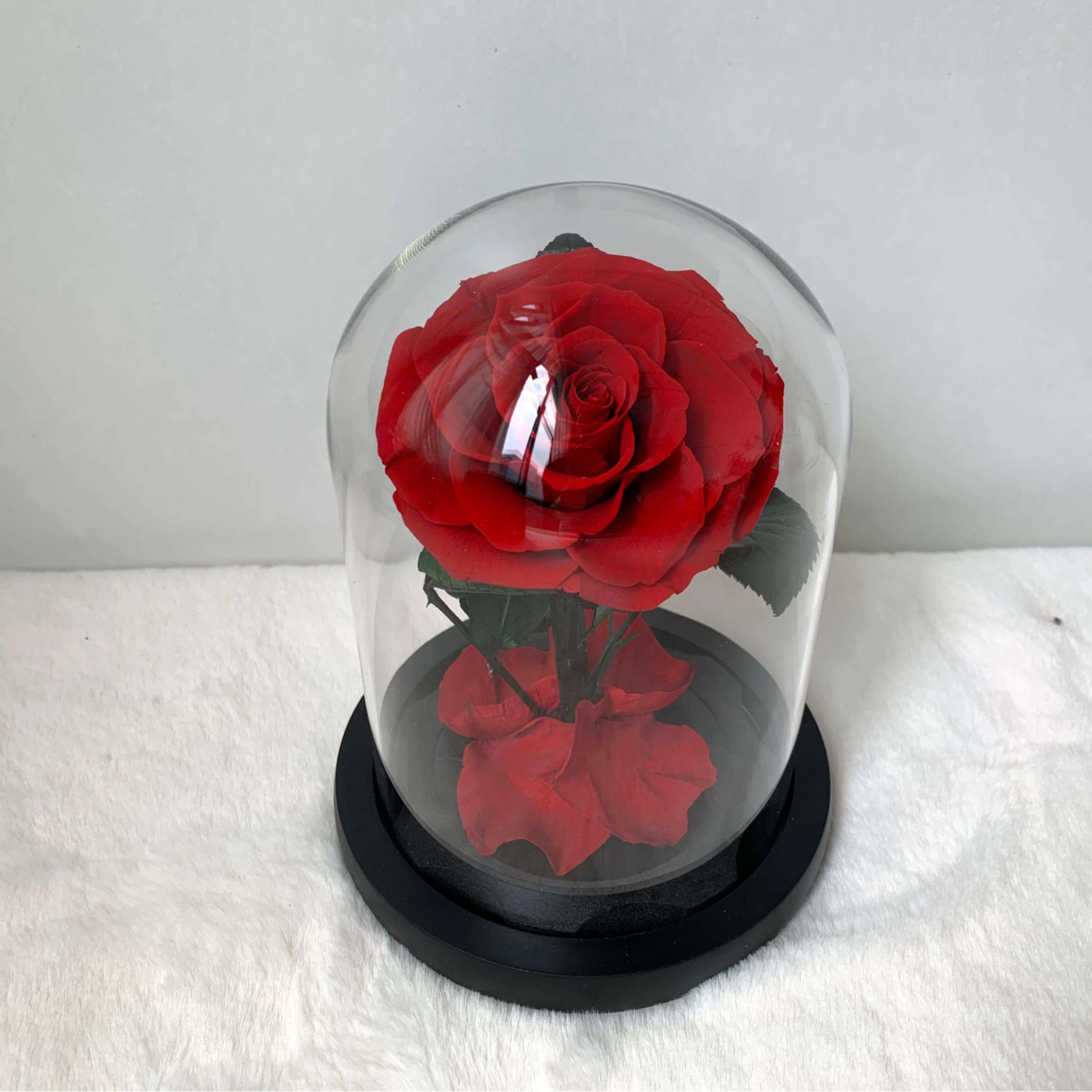 Factory Direct Wholesale Eternal Roses Wholesale for Valentine's Day Gift Stabilized Flowers in Dome Longlasting Forever Preserved Roses in Glass