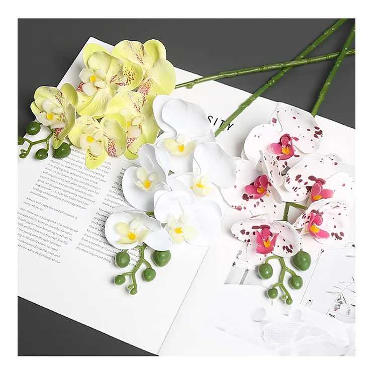 Butterfly Orchid Detail 9