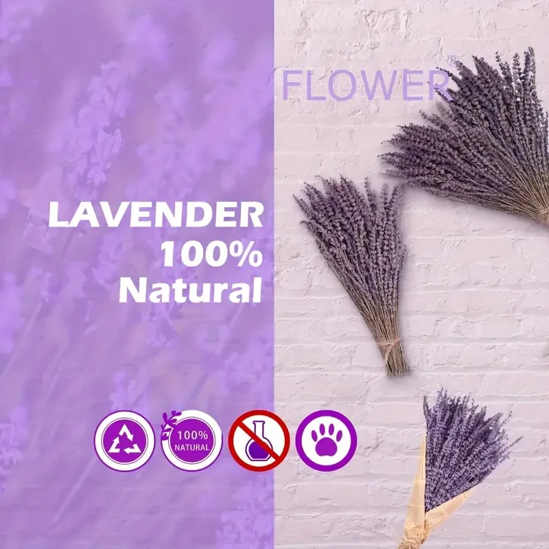 Dried Lavender Photos 1