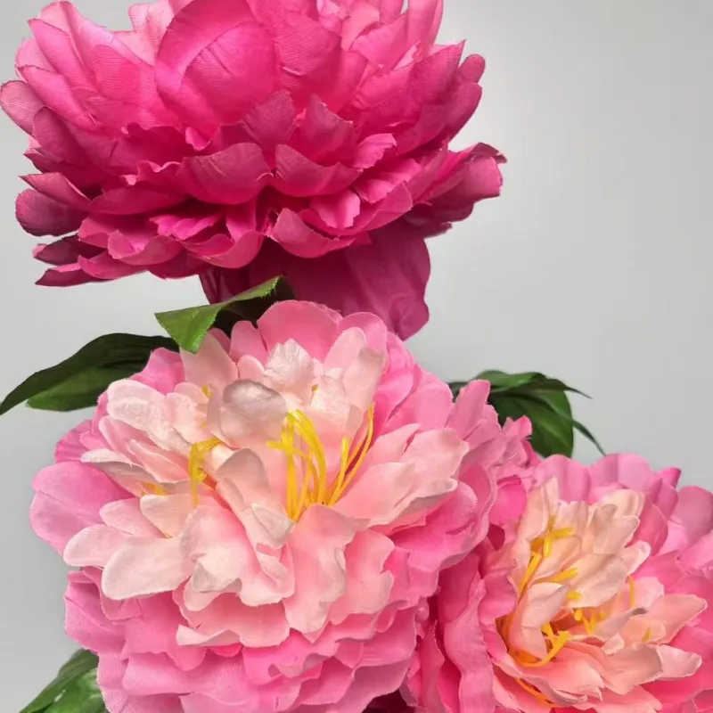 Peony decoration