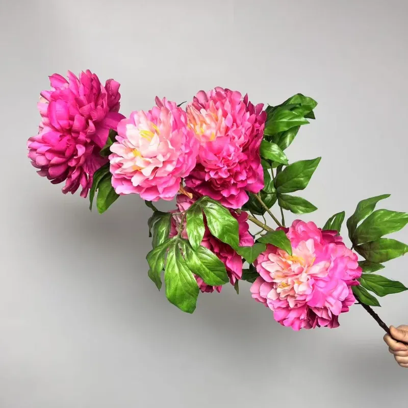 Peony decoration