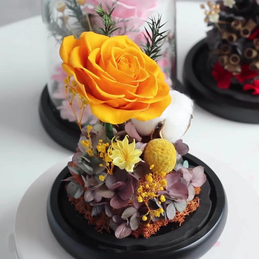 Factory Supply Forever Real Rose Hydrangea Preserved Roses in Glass Eternal Flower Dome for Girl Woman Red Valentine's Day Gift Rose