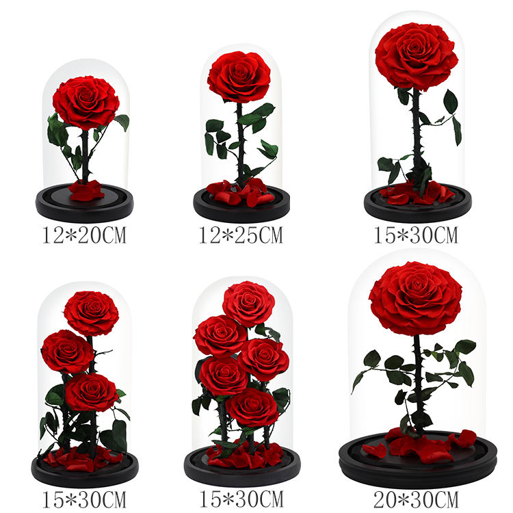 10+Years Manufacturers Eternal Rose Moss Long Stem Red Single Flowers Morthers Day Everlasting Preserved Flower Forever Roses in Glass Dome