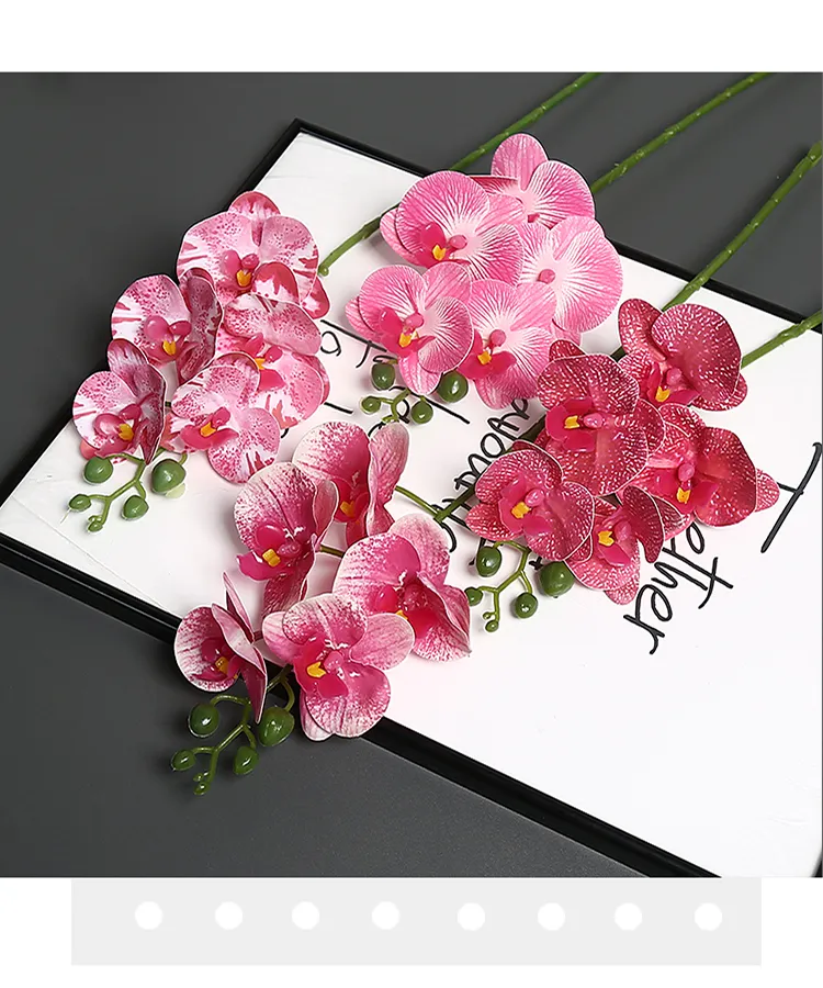 Butterfly Orchid Detail 8