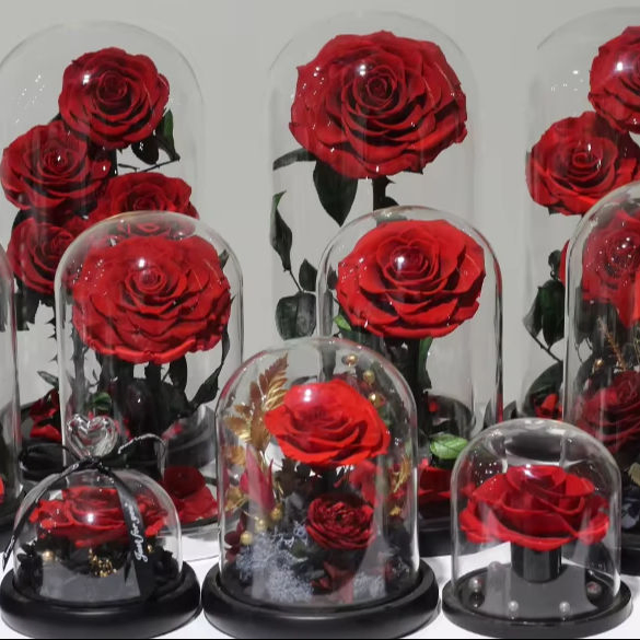 Factory Direct Wholesale Christmas Valentine's Day Eternal Forever Roses with Stems Preserved Flower in Glass Dome Real Natural Preserved Roses Glass