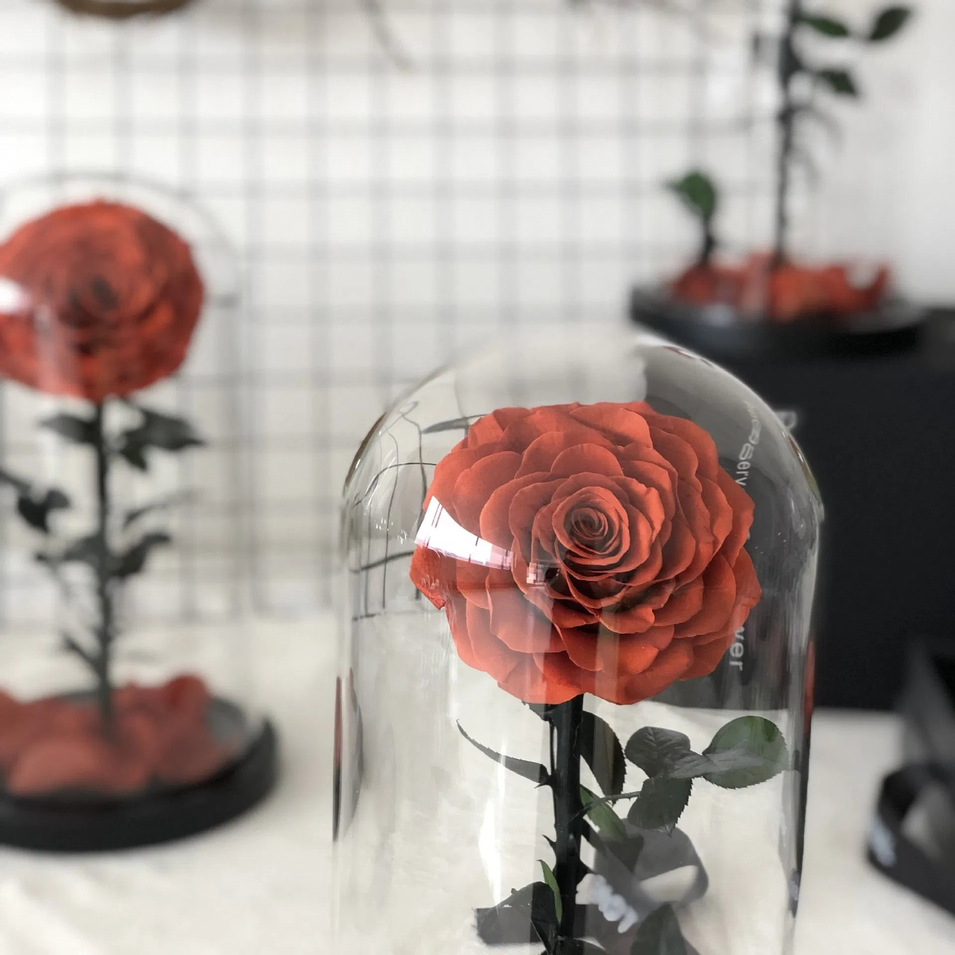 Eternal Rose -Preserved Real Rose in Glass Dome Gift Eternal Flower,Beautiful Creative Gift for Valentine's Day Mother's Day Christmas Anniversary Birthday Than