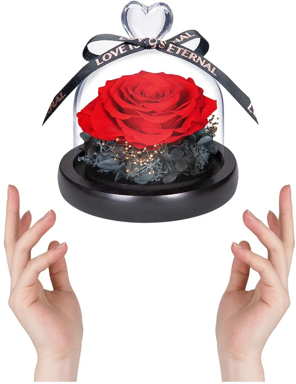 Inunion Premium Quality Preserved Roses Gift Real Rose in Glass Dome