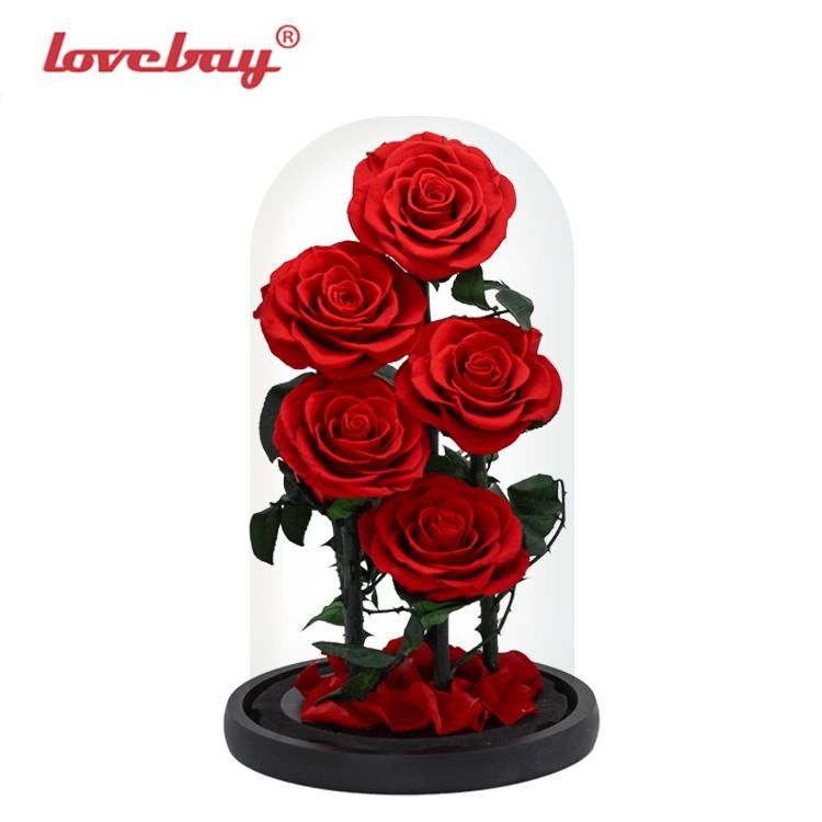 Real Factory Valentines Gifts Beauty and The Beast Enchanted Rose Gifts Glass Bell Eternal Roses in Glass Dome Real Touch Preserved Flowers