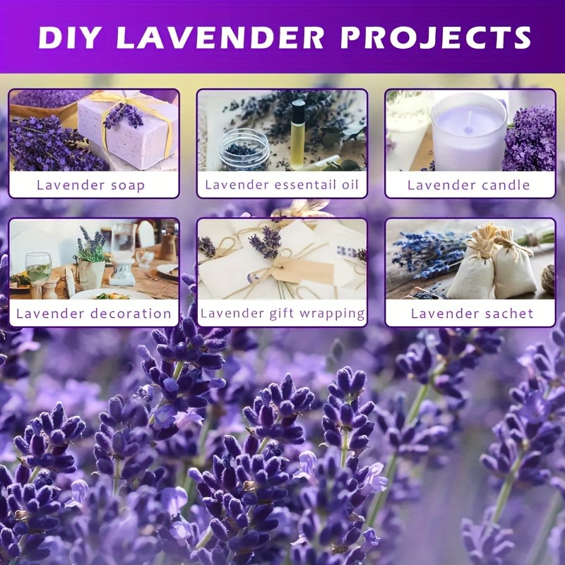 Promotional Dried Lavender Flowers Bundle DIY Home Fragrance Room Gift Home Decor