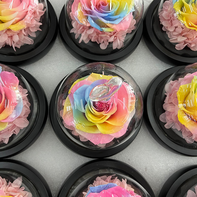 Factory Wholesale High Quality Heart Preserved Rose Glass Dome Real Everlasting Real Rose Flower Foreyer Roses in Glass Dome with LED