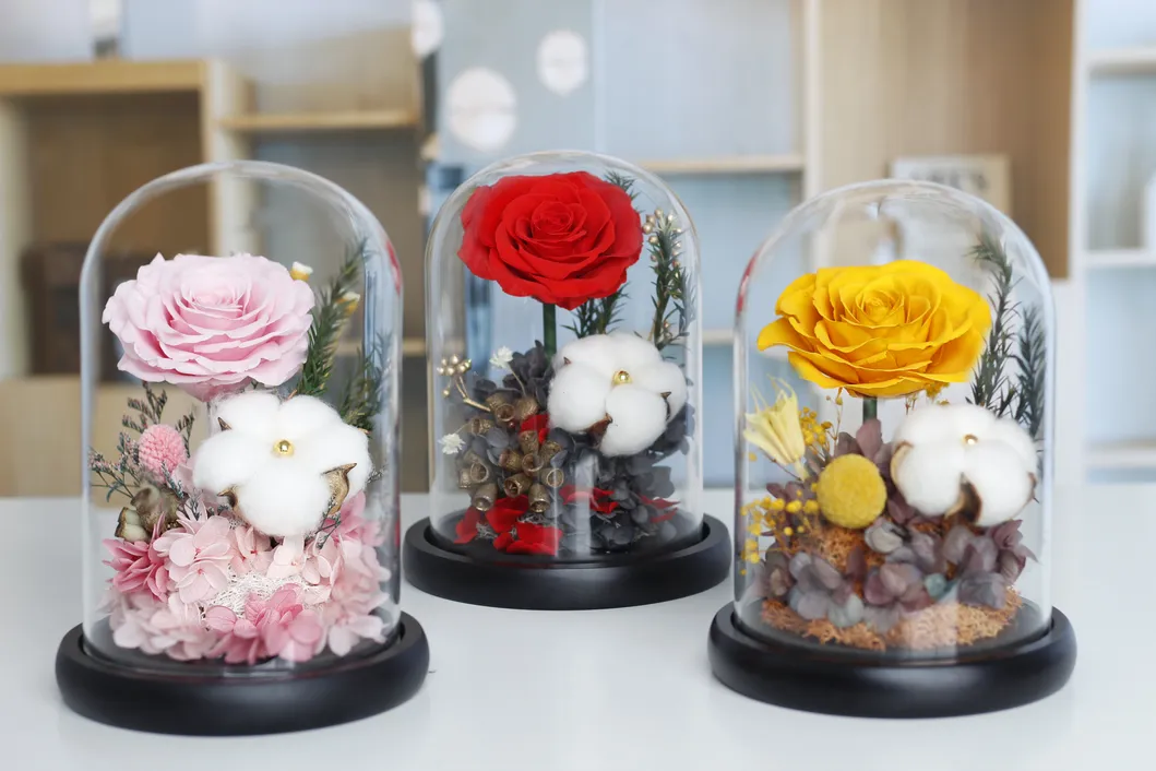 Preserved Rose Display 1