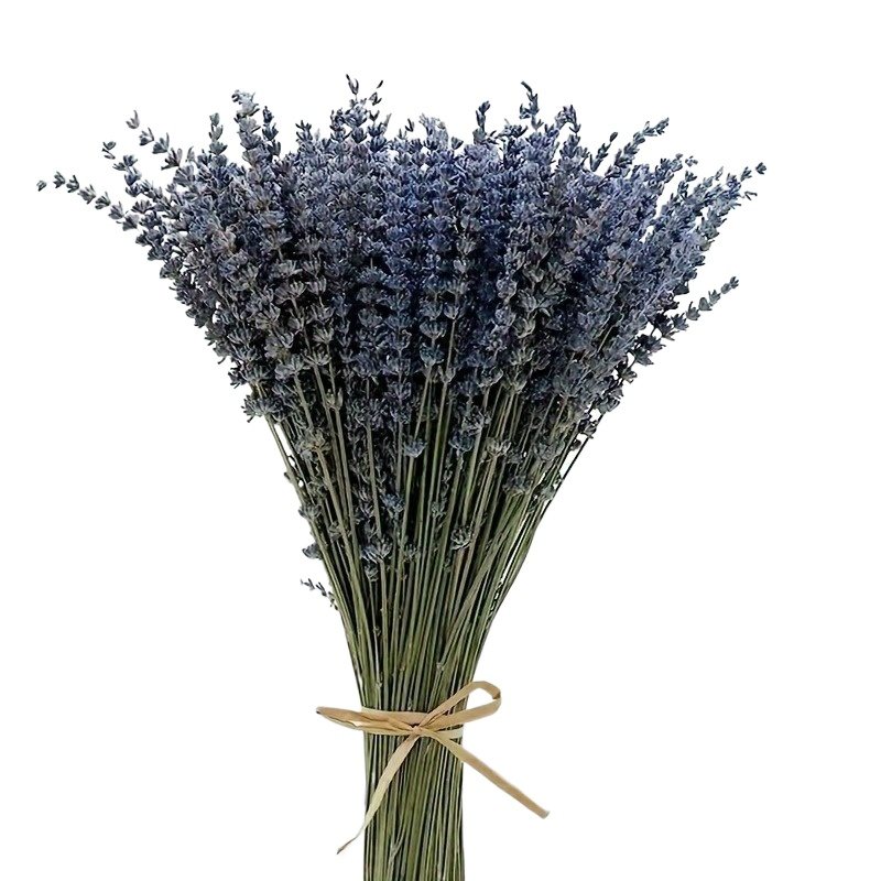 Promotional Dried Lavender Flowers Bundle DIY Home Fragrance Room Gift Home Decor