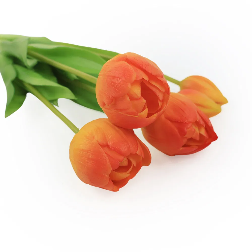 Detailed Tulip Photo 3