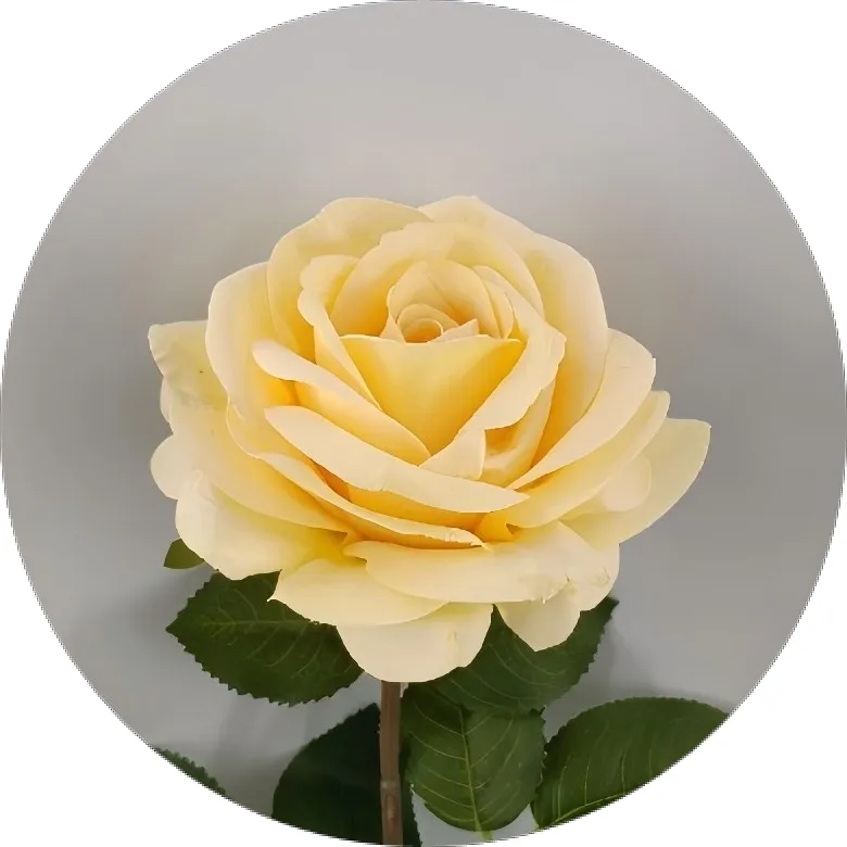 Artificial Rose Detail 3