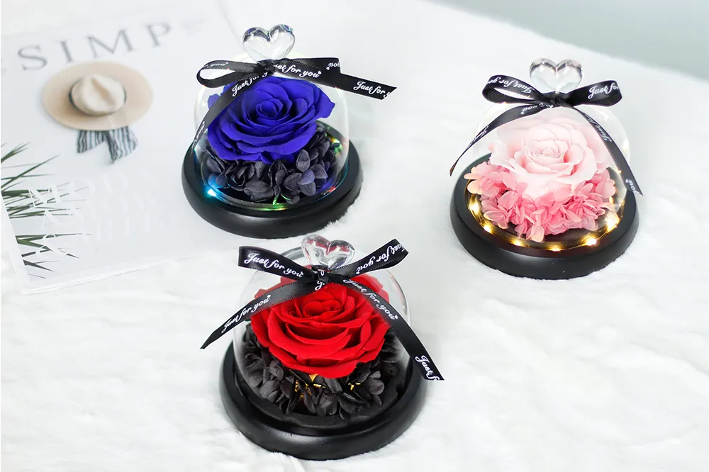 Preserved Rose Glass Dome