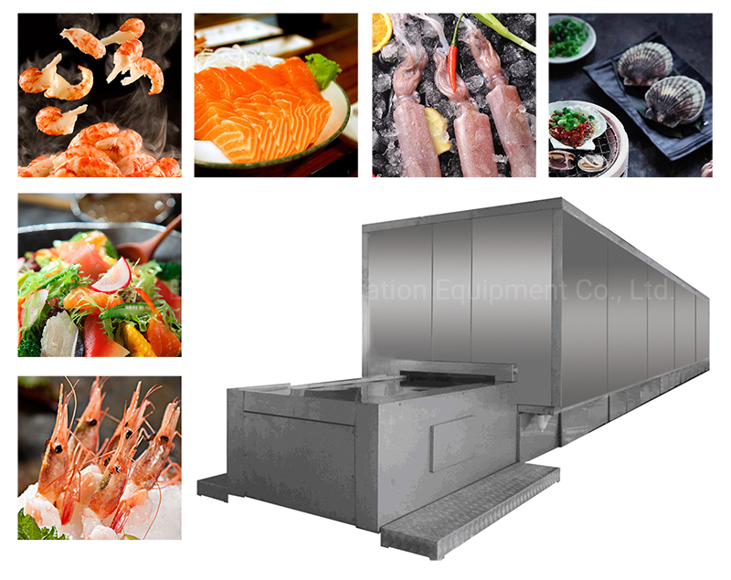 Blast Tunnel Freezer for Shrimp Fish Plumeria Hake Fish