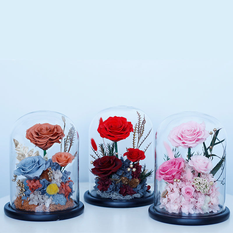 Valentines' Gift Long Lasting Real Forever Preserved Roses in Glass Dome with Wooden Base Wholesale Eternal Roses