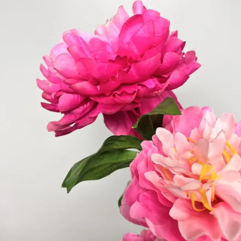 Peony decoration
