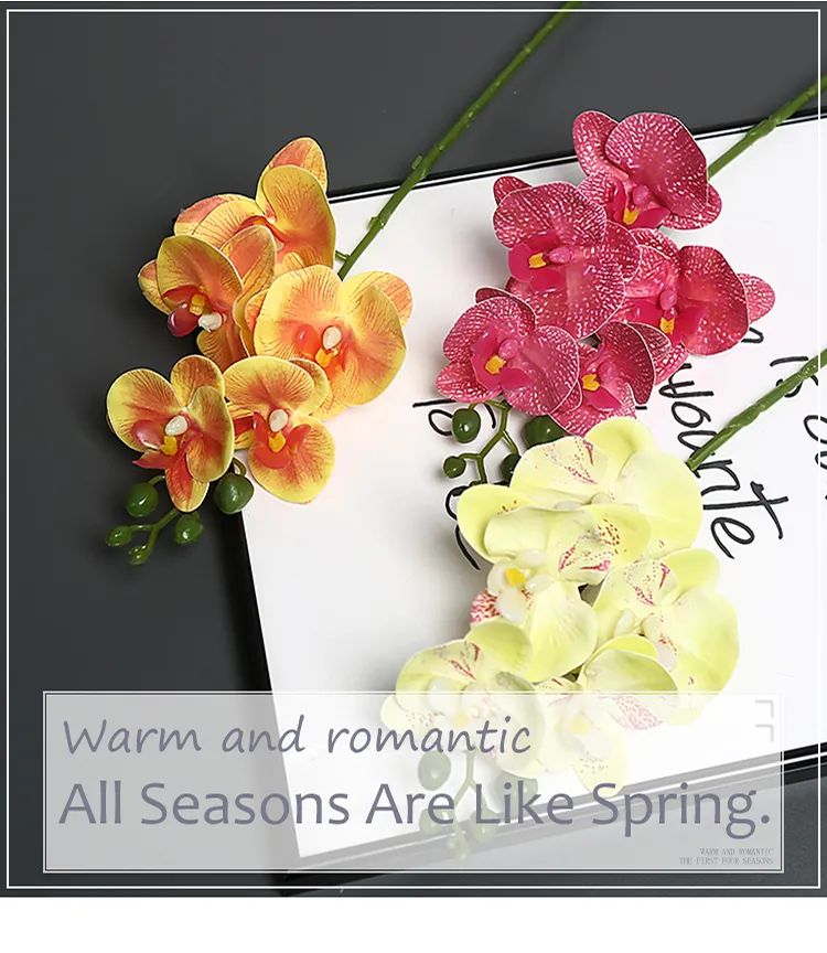 Butterfly Orchid Detail 1