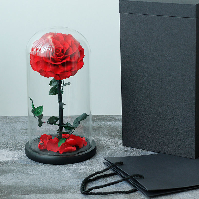10+Years Manufacturers Eternal Rose Moss Long Stem Red Single Flowers Morthers Day Everlasting Preserved Flower Forever Roses in Glass Dome