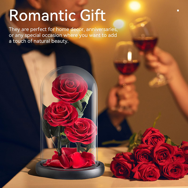 Gifts for Women Forever Preserved Red Rose, Birthday Valentines Day Gift with Red Eternal Flower in Glass Dome, Gifts for Valentine's Day Mothers Day Flower