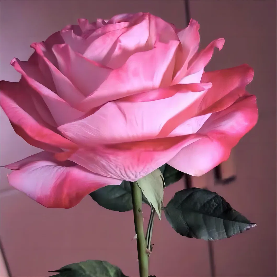 Artificial Flower Rose 4