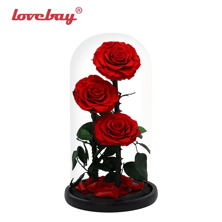 Real Factory Valentines Gifts Beauty and The Beast Enchanted Rose Gifts Glass Bell Eternal Roses in Glass Dome Real Touch Preserved Flowers