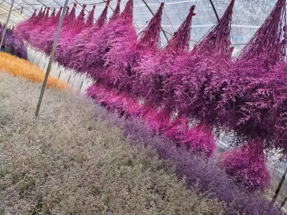 Production Process 1