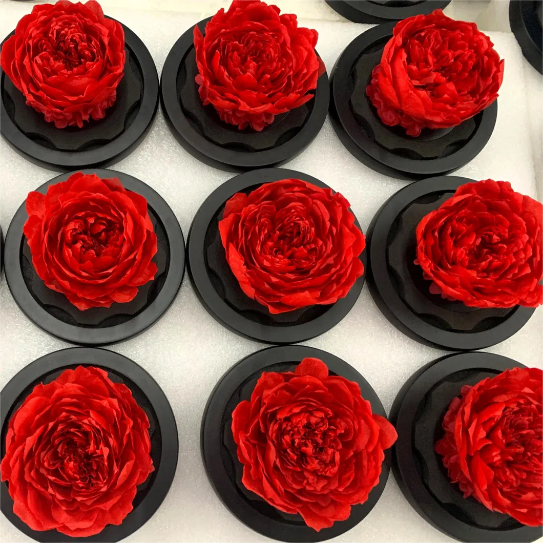 Rose Product View 3