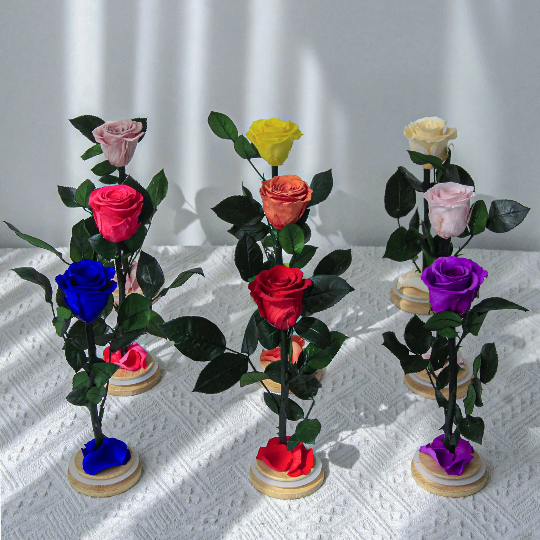 10+Years Manufacturers Eternal Roses Wholesale Everlasting Preserved Rose in Glass Natural Forever Flowers Single Stabilized Flowers with Stem