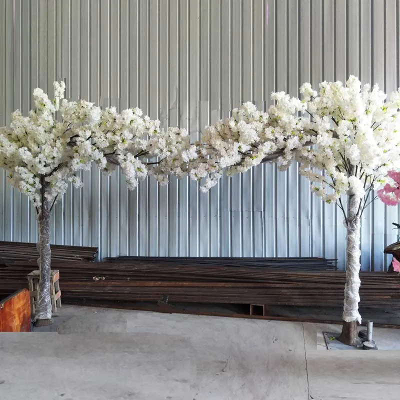 White Cherry Blossom Detail