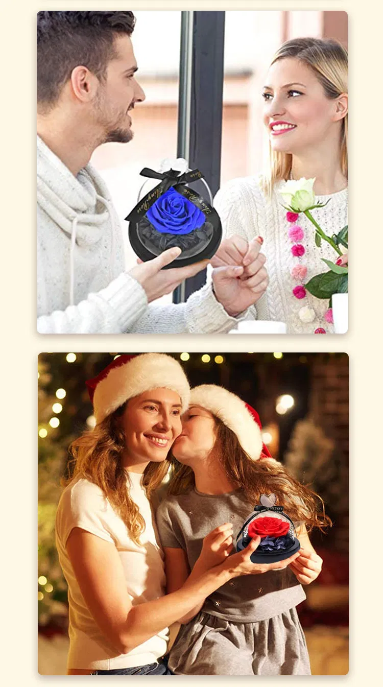 Premium Preserved Flowers