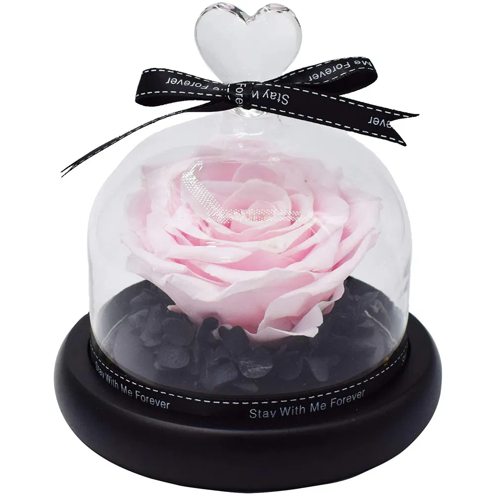 Inunion Premium Quality Preserved Roses Gift Real Rose in Glass Dome