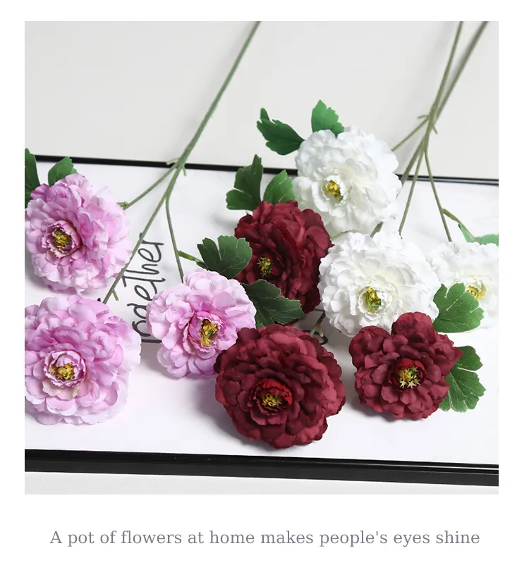 European Style Peony