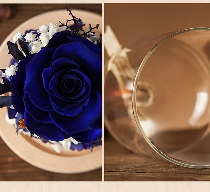 Preserved Rose in Glass Display