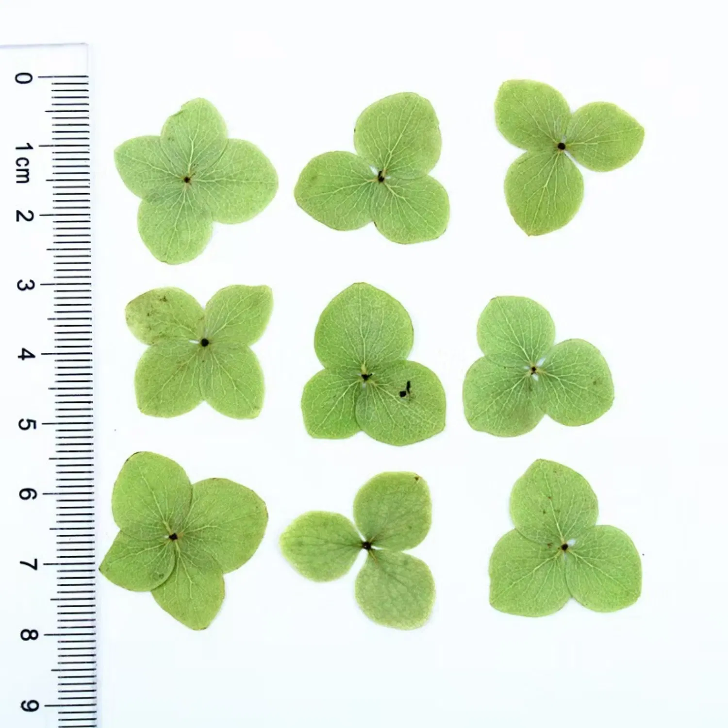 Artificial Flower Detail 6