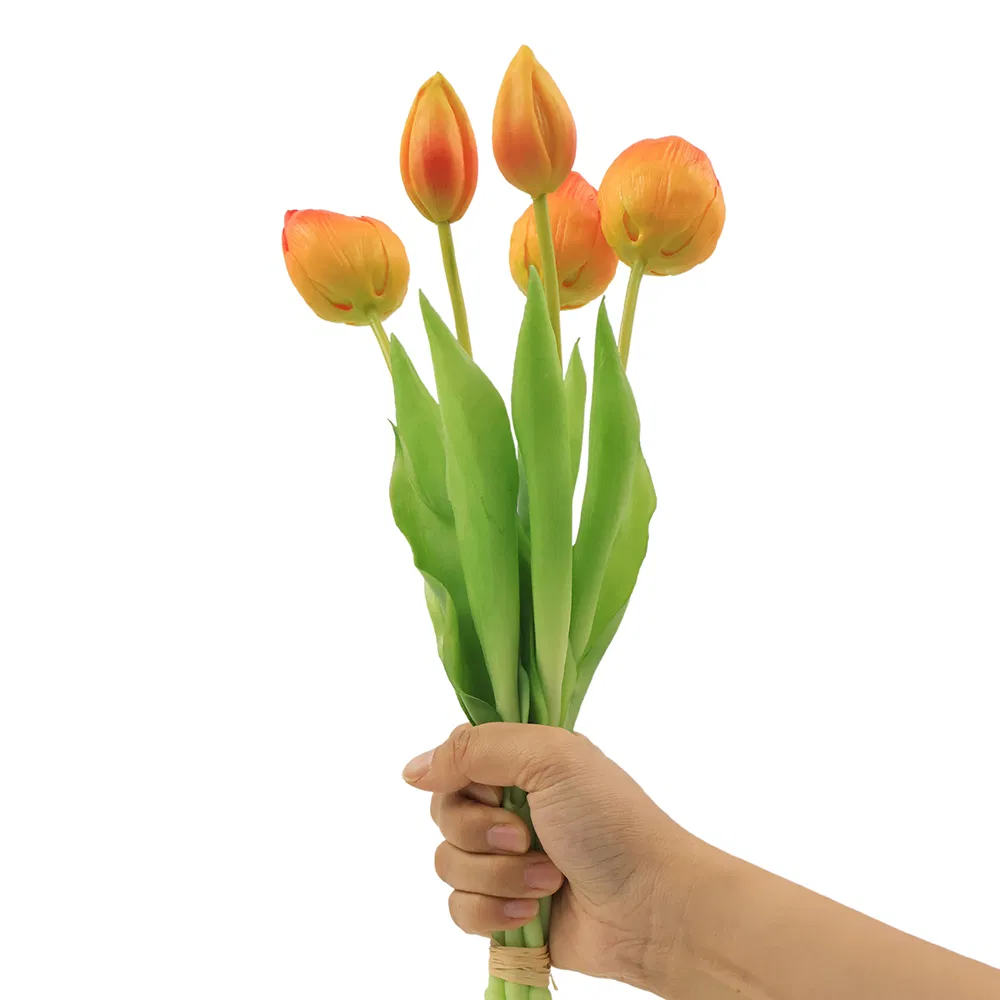 Detailed Tulip Photo 6