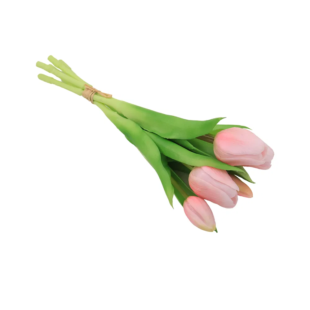 Tulip Detailed View 2