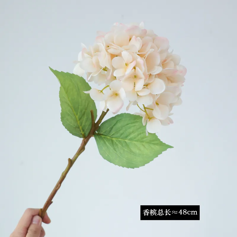 Hydrangea Decoration