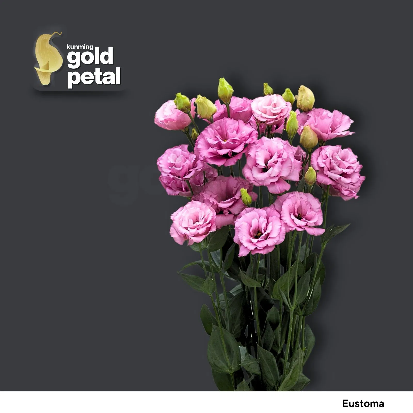 Vibrant Chinese Eustoma Bouquet - Premium Quality