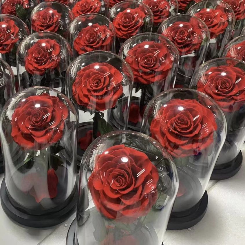 10+Years Manufacturers Eternal Rose Moss Long Stem Red Single Flowers Morthers Day Everlasting Preserved Flower Forever Roses in Glass Dome