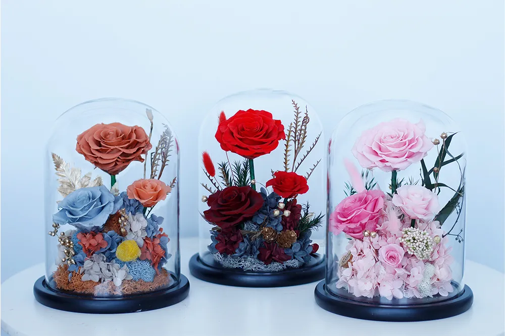 Preserved Roses in Glass Dome