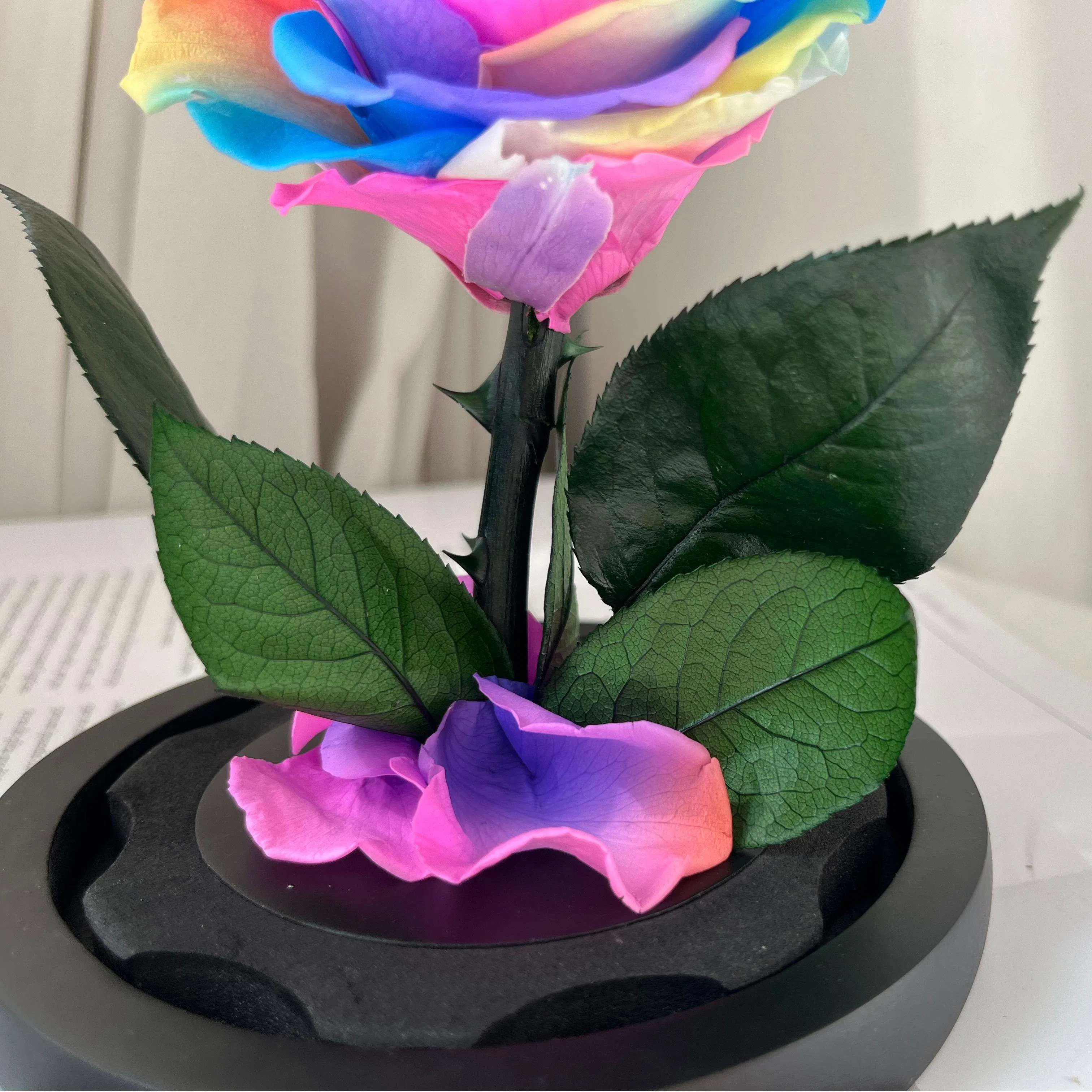 Factory Sales Valentine's Day Preserved Flower Wholesale Rainbow Eternal Forever Roses with Stems Natural Eternal Rose Glass Dome