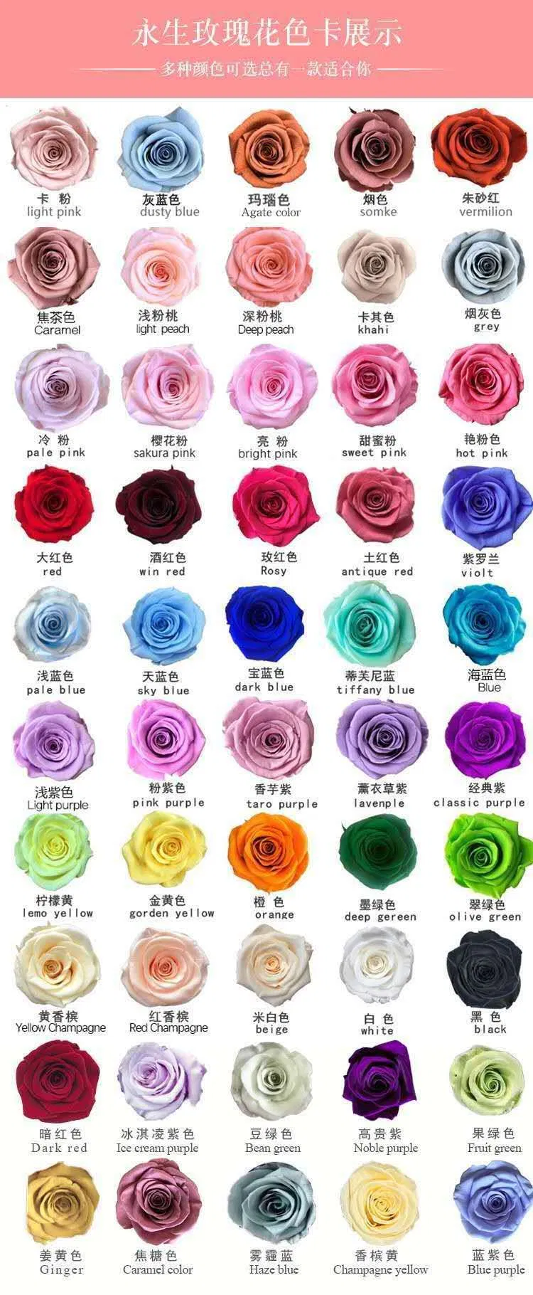 Preserved Rose Color Card