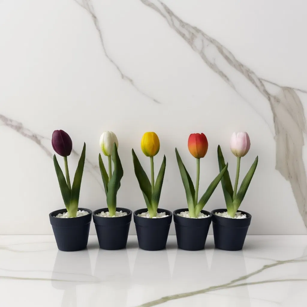 Tulip Decor 5